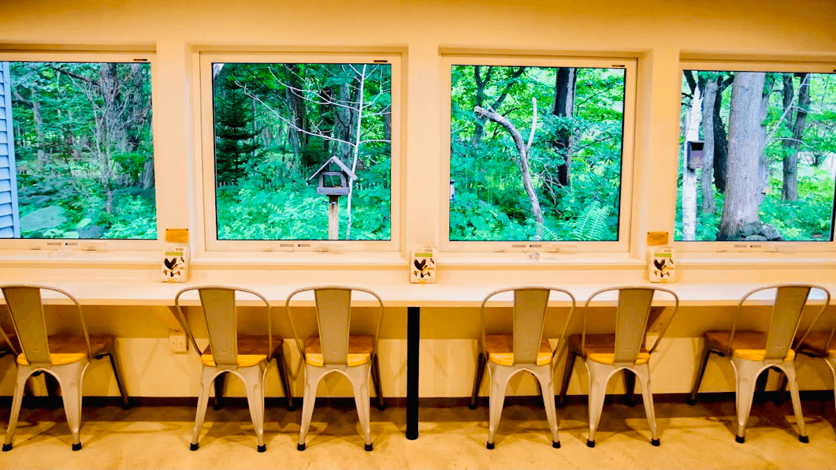 The Bird Watching Cafe