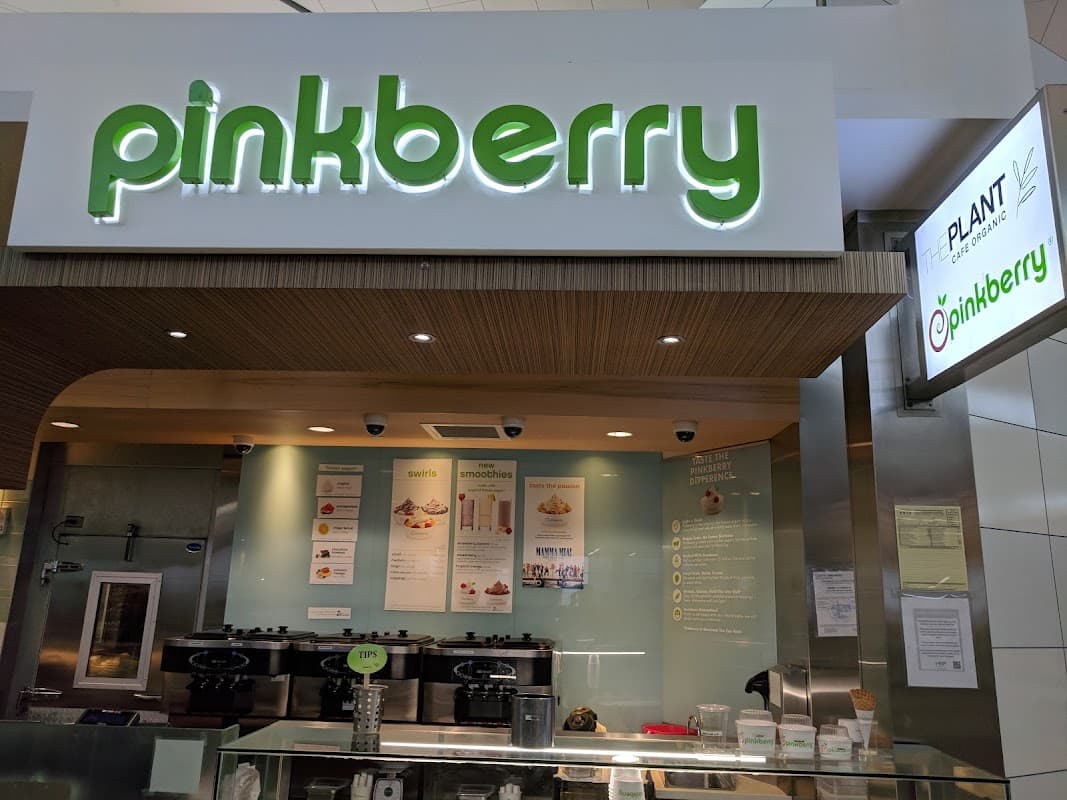 The Plant Café Organic