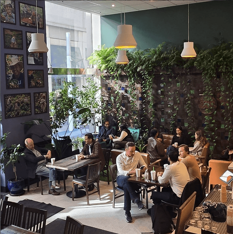 Coffee Bodega Farm-to-Table