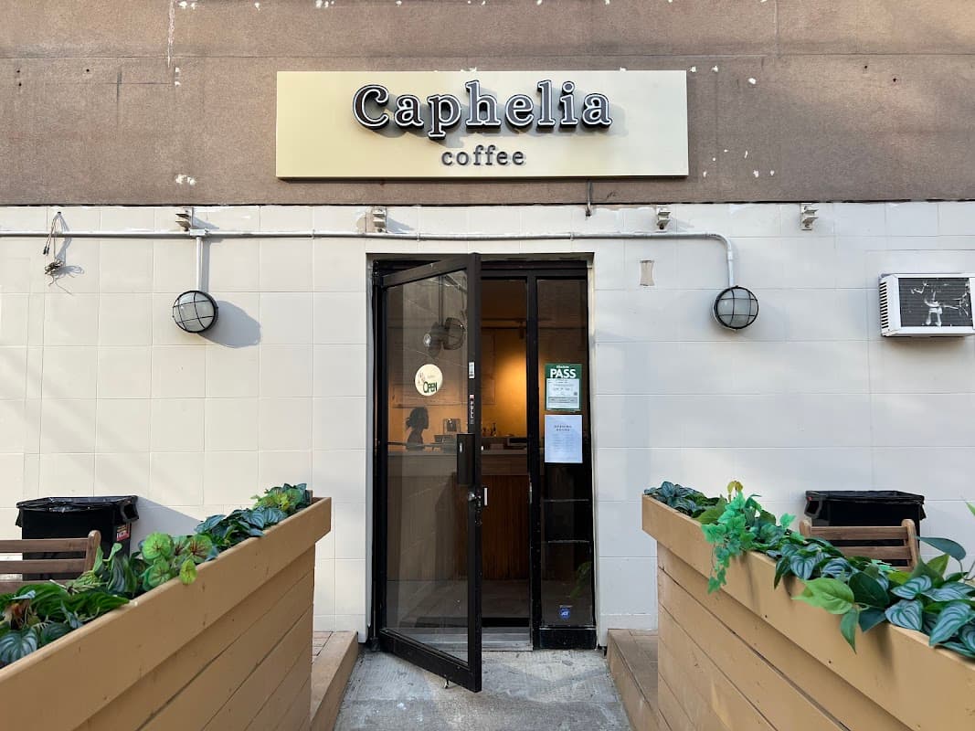 Caphelia Coffee