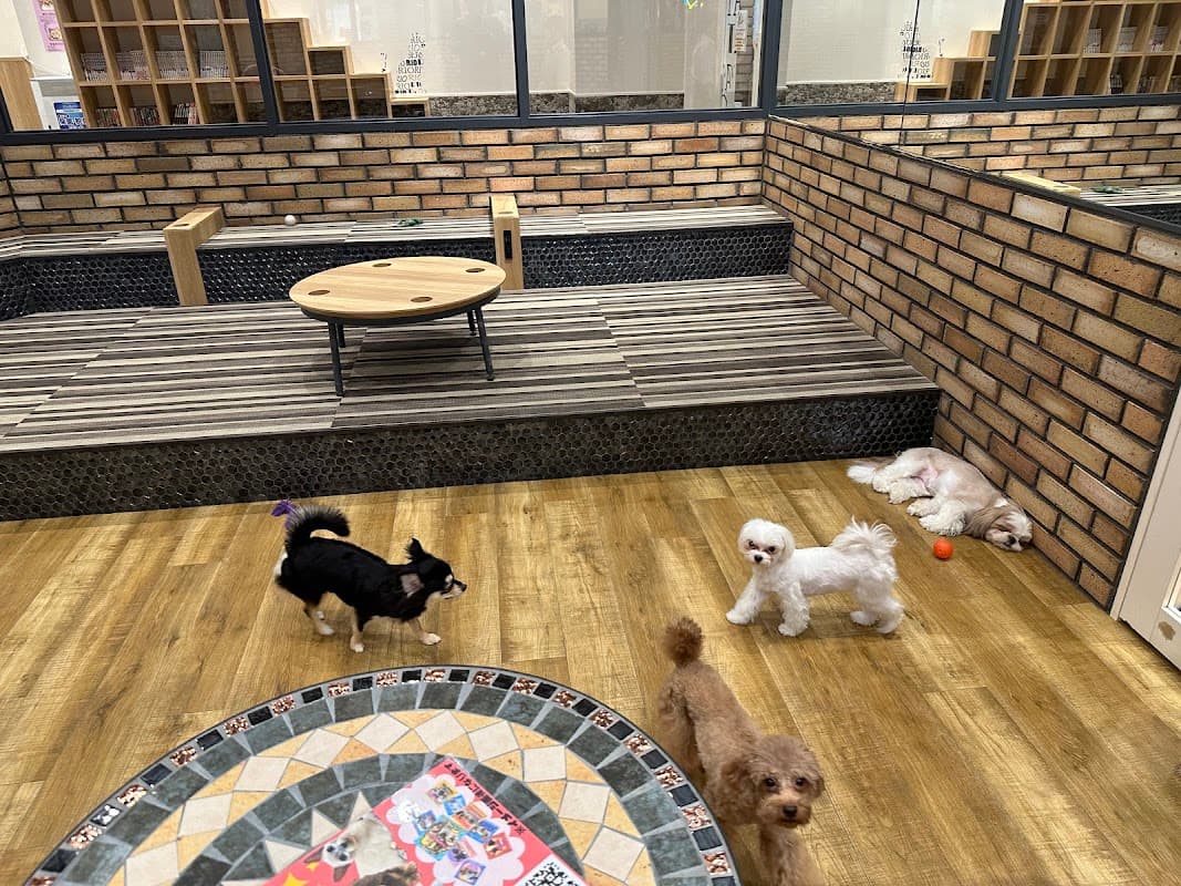 いぬねこカフェ Rio イオンモール常滑店